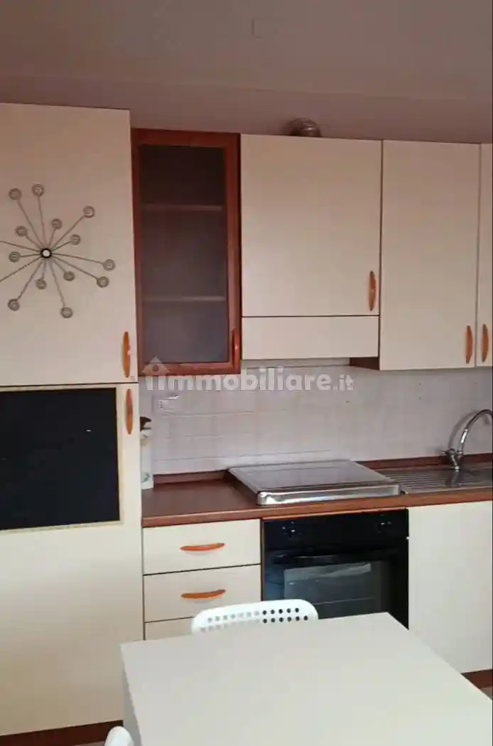 Appartamento in affitto a Vicopisano