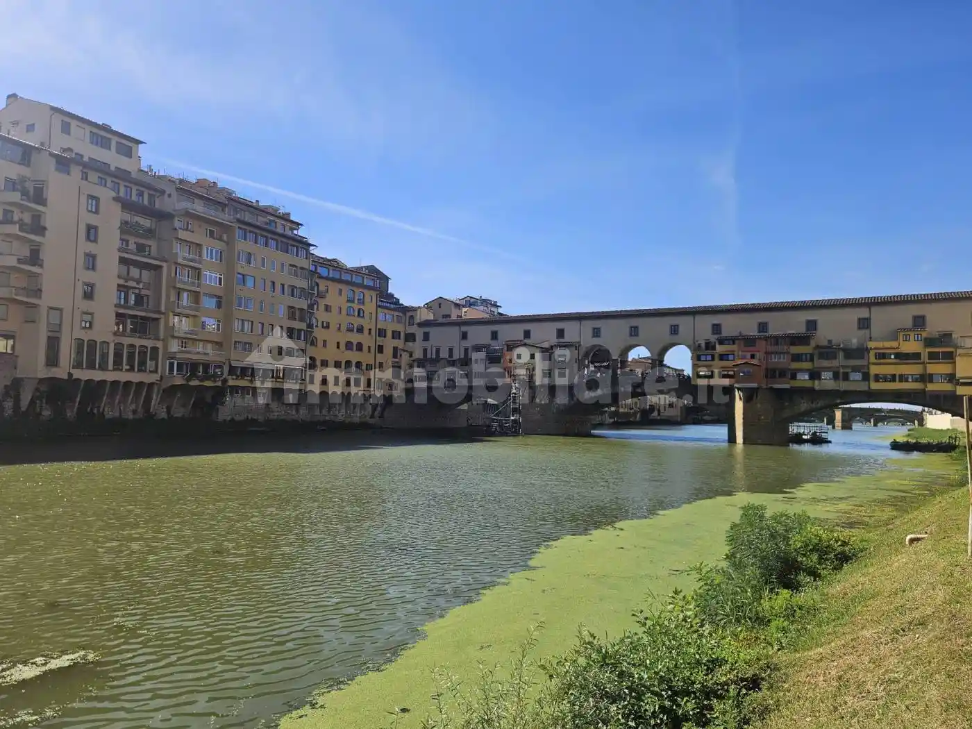 Appartamento in affitto a Firenze