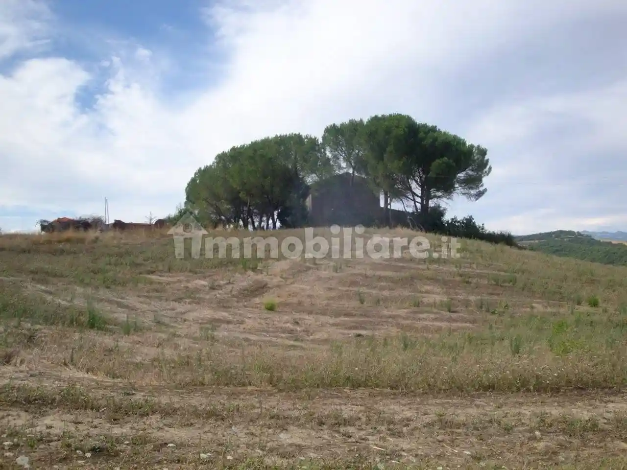 Rustico - Casale in vendita a Bibbona