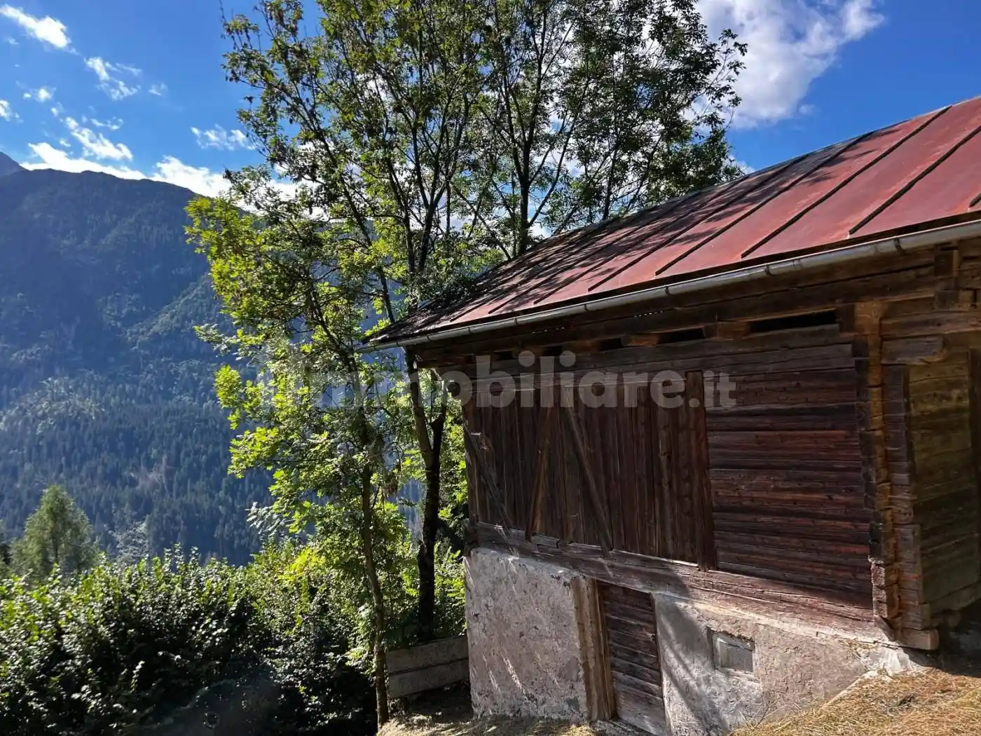 Rustico - Casale in vendita a Santo Stefano di Cadore