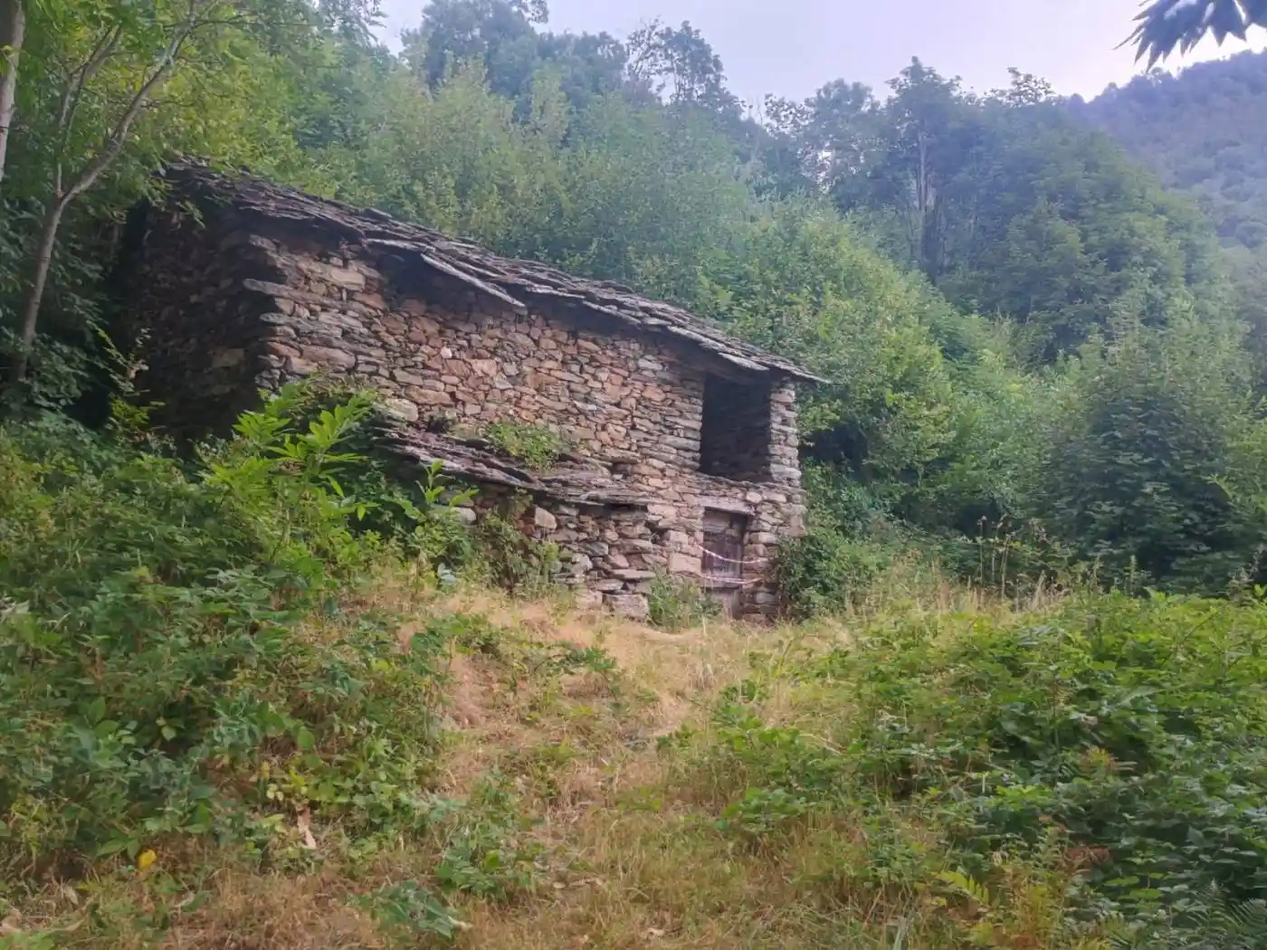 Rustico - Casale in vendita a Corio