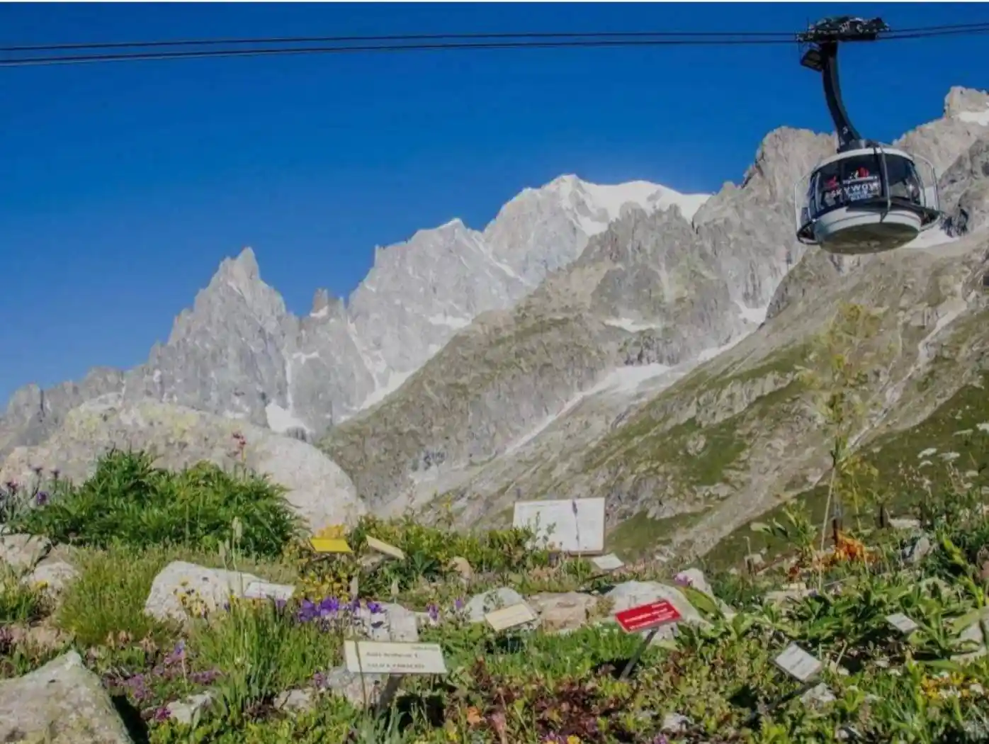 Rustico - Casale in affitto a Courmayeur