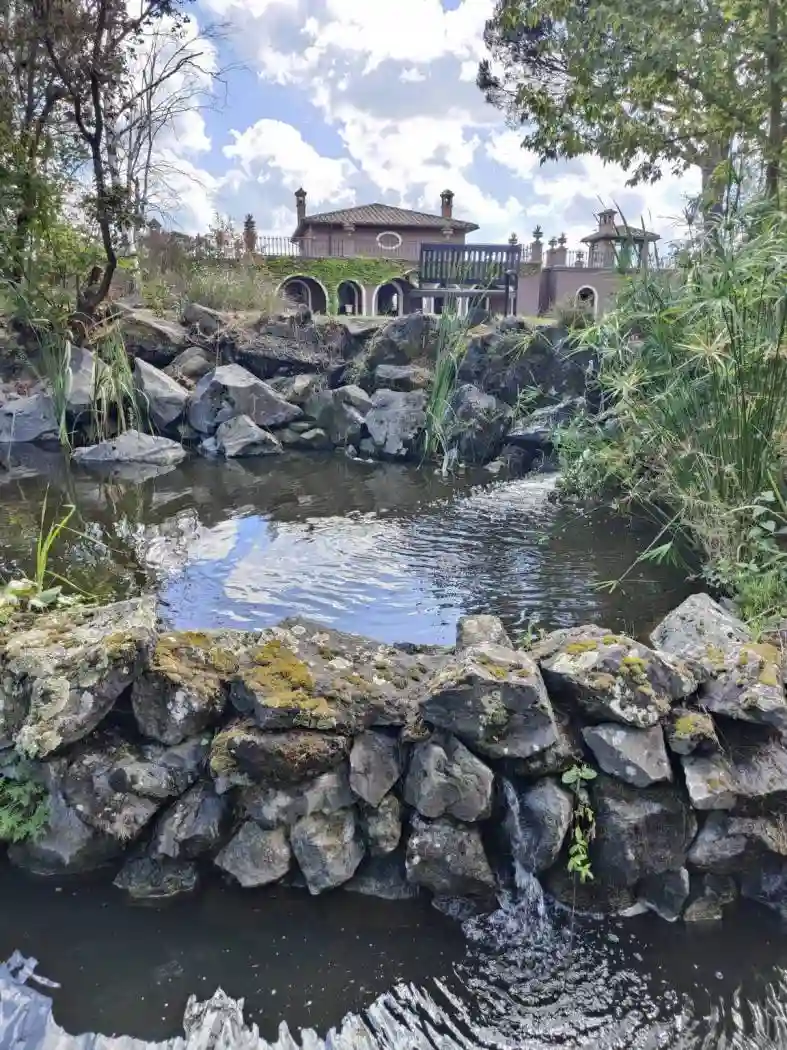 Villa - foto 5