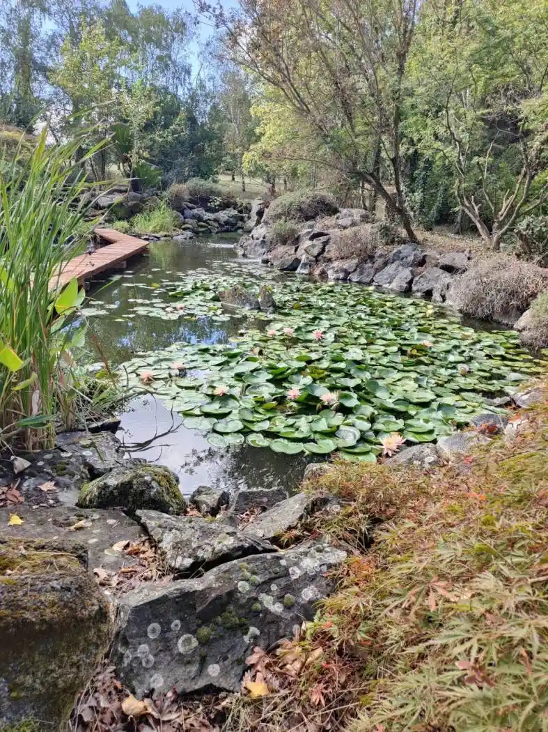 Villa in vendita a Monterosi