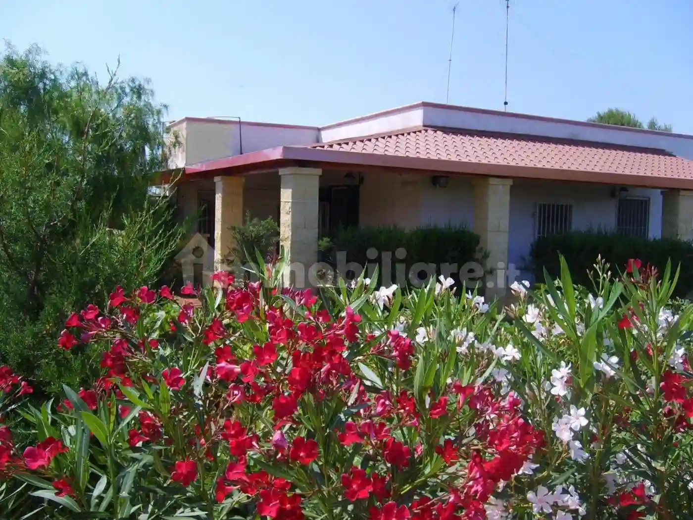 Villa - foto 3