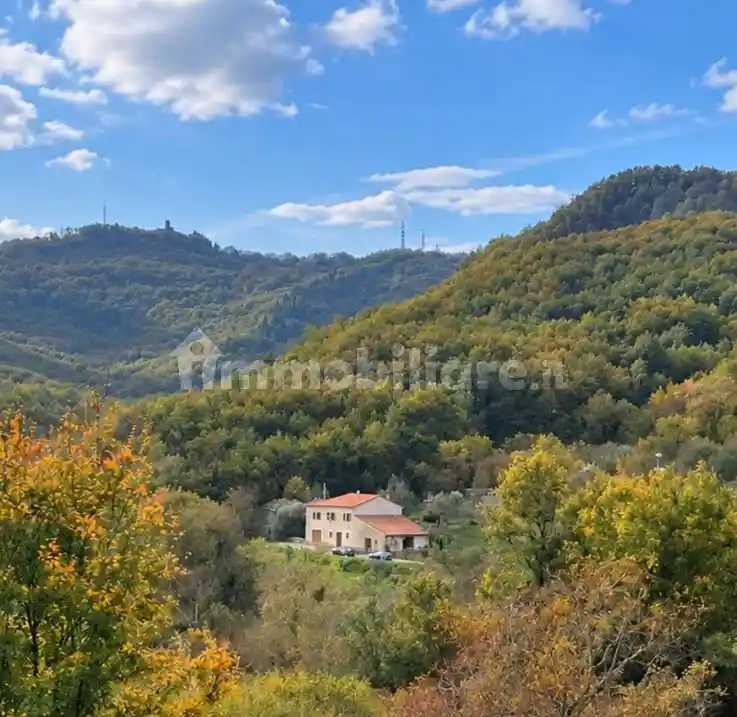 Rustico - Casale in vendita a Pontremoli