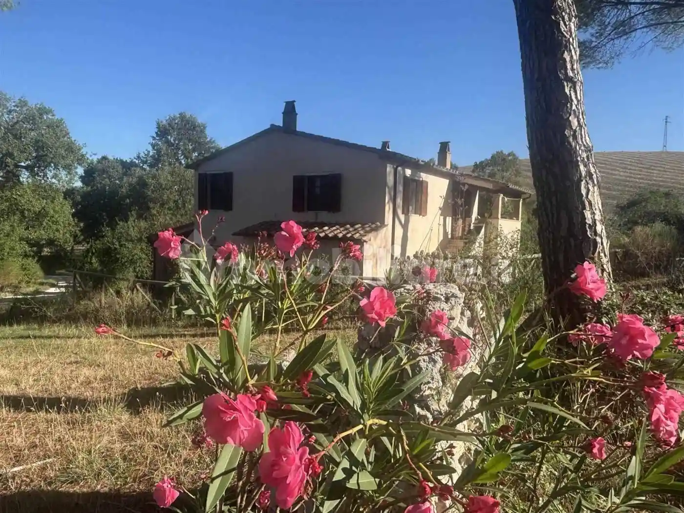 Rustico - Casale in vendita a Manciano