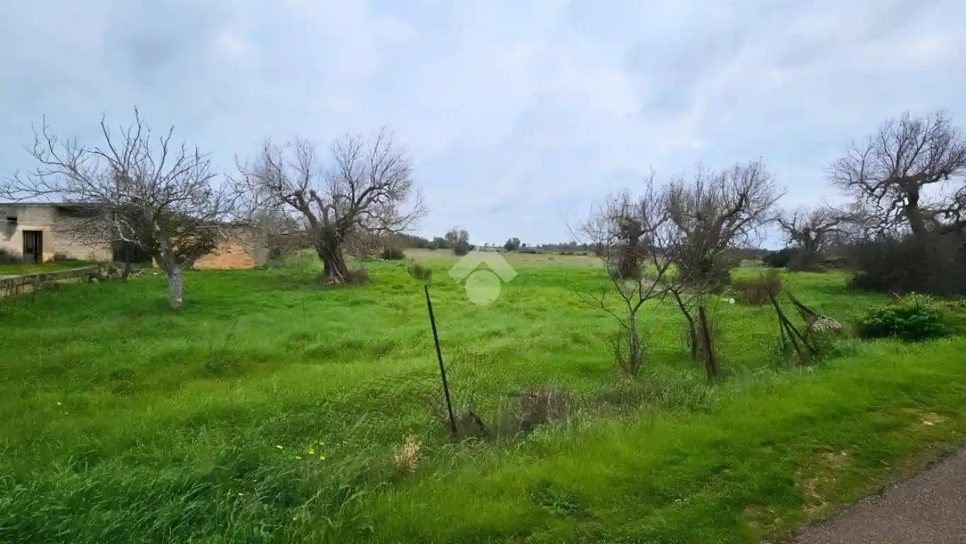 Rustico - Casale in vendita a Nardò
