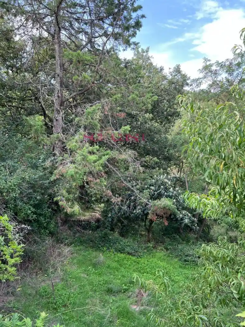 Rustico - Casale in vendita a Cinigiano