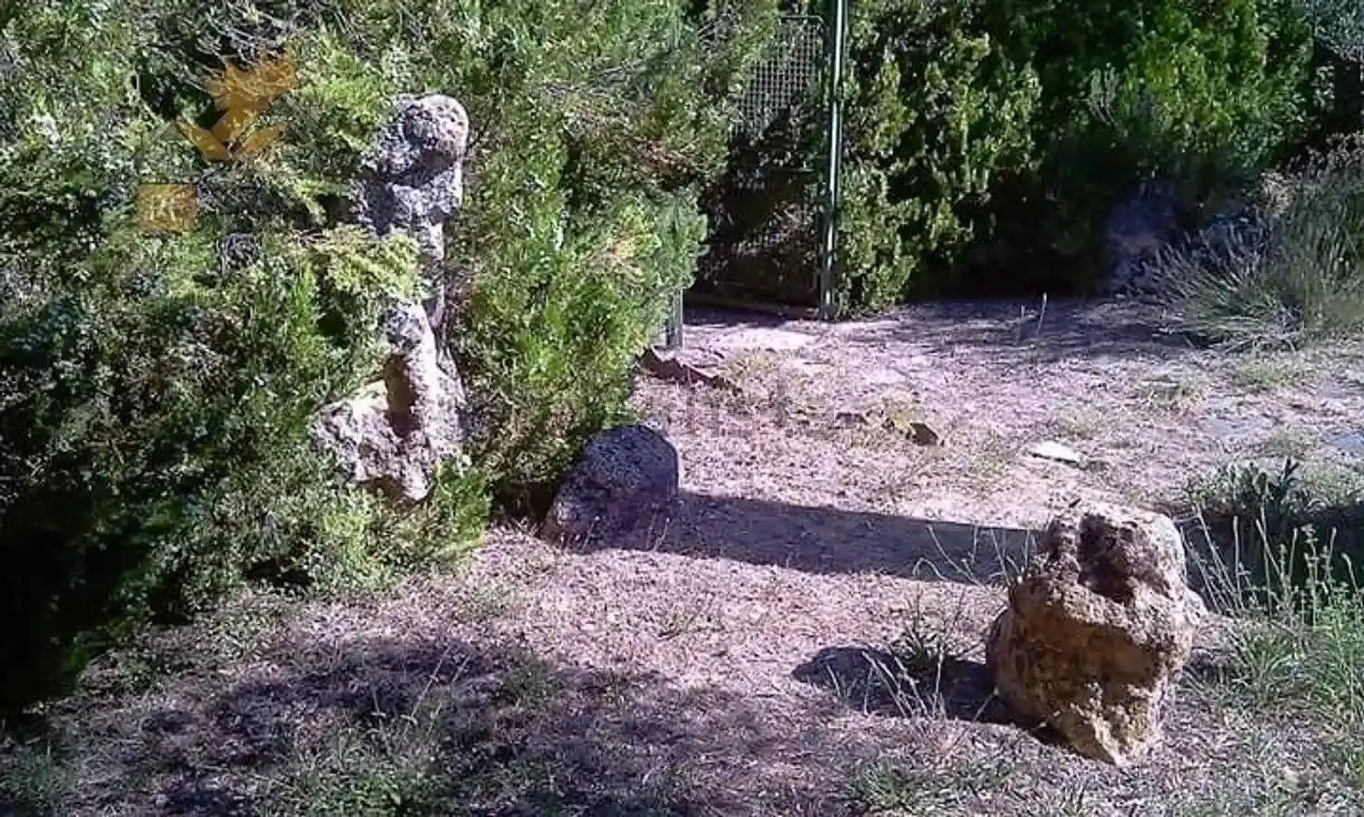 Villa in vendita a Piove di Sacco
