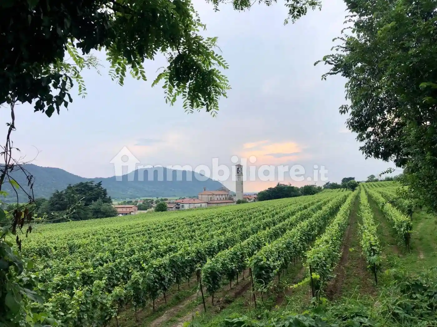 Appartamento in vendita a Erbusco