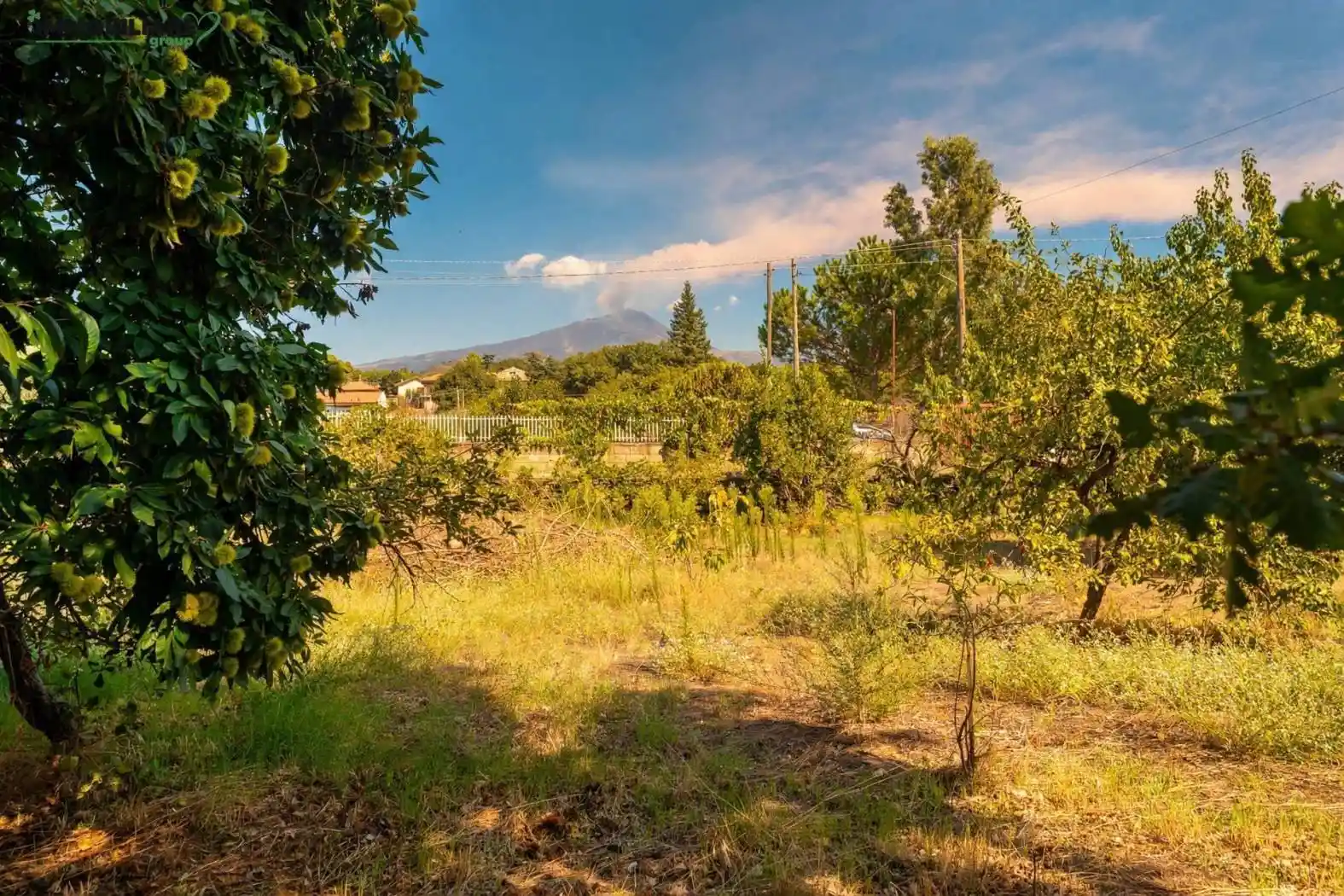 Villa in vendita a Nicolosi