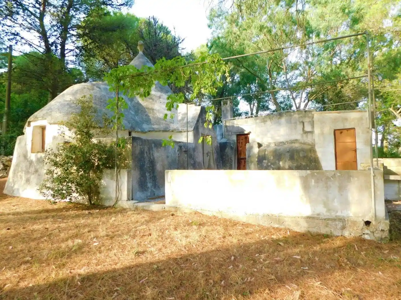 Rustico - Casale in vendita a Martina Franca