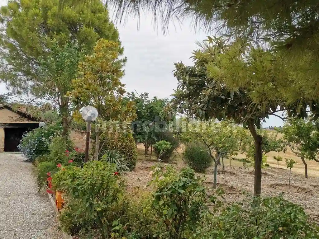 Rustico - Casale - foto 5