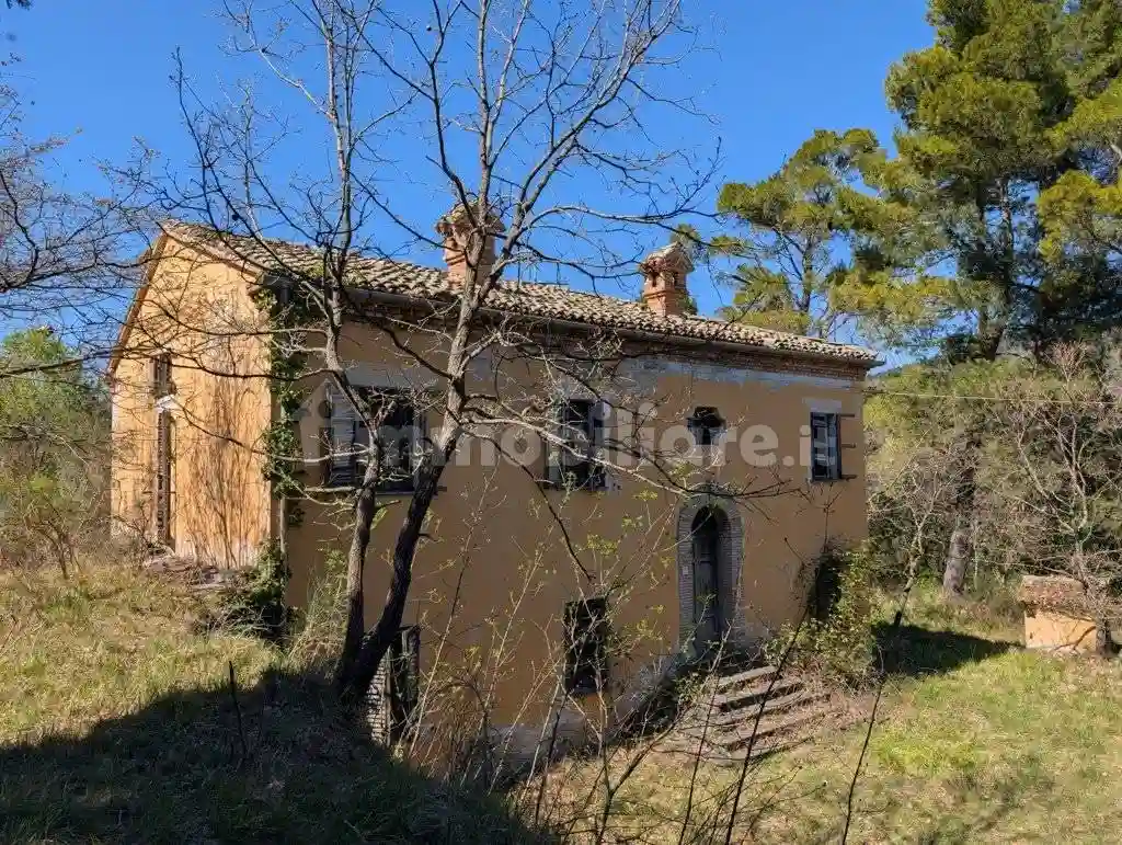 Rustico - Casale - foto 3