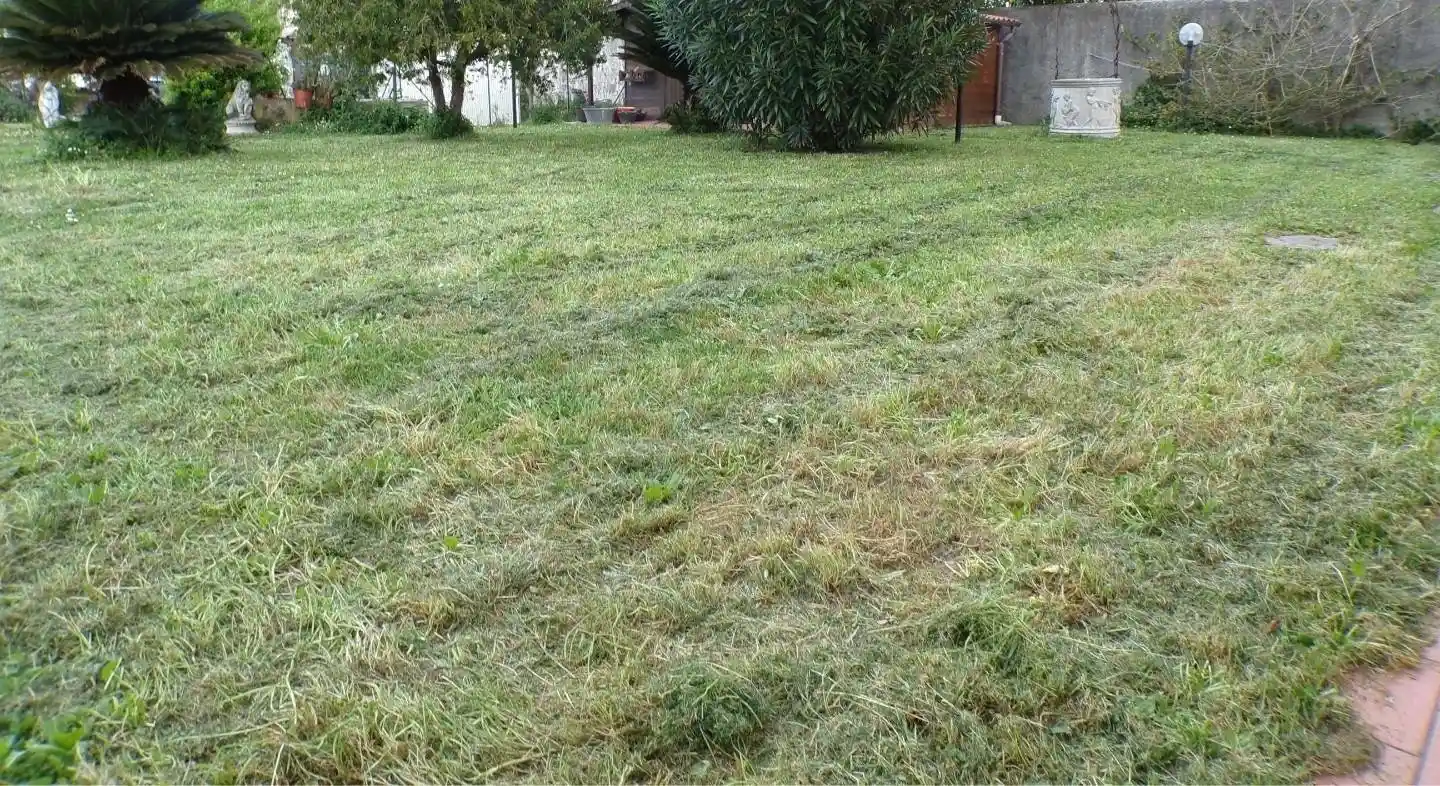 Villetta a schiera in vendita a Cascina