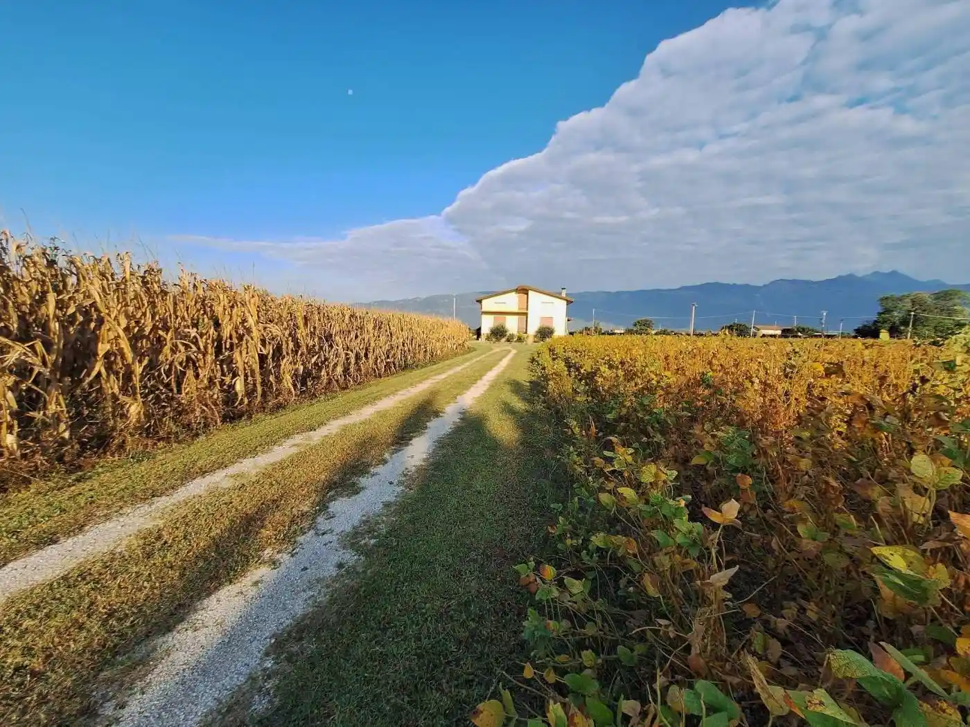 Villa in vendita a Fontanafredda