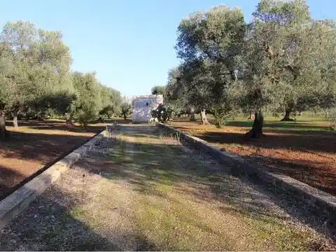 Rustico - Casale in vendita a Carovigno