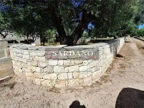 Villa in vendita a San Vito dei Normanni