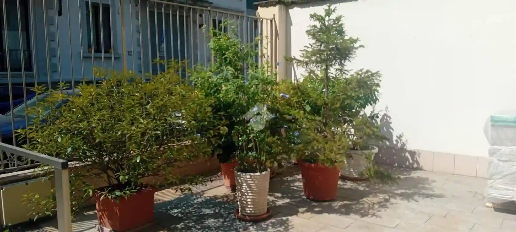 Loft - foto 3