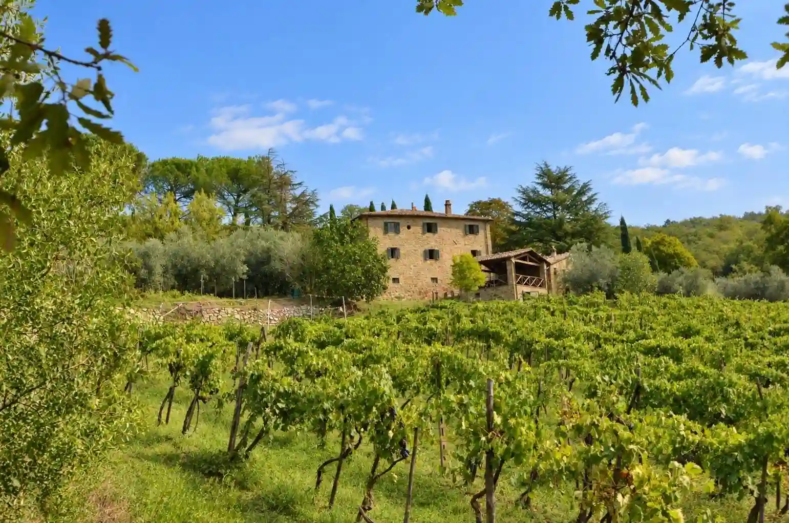 Rustico - Casale - foto 3