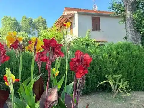 Villa in vendita a Scansano