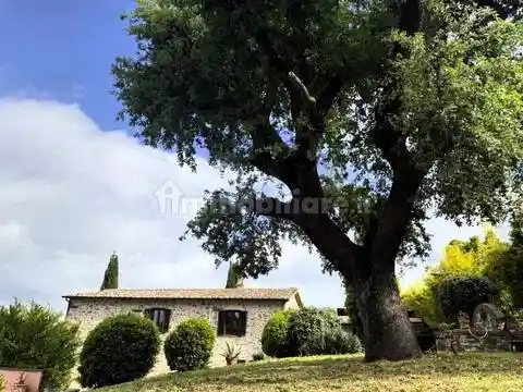Villa in vendita a Manciano