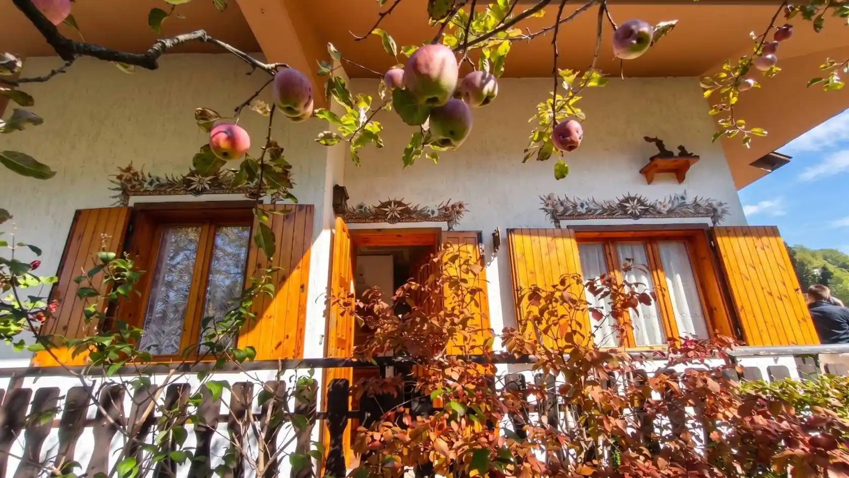 Villa in vendita a Ravascletto