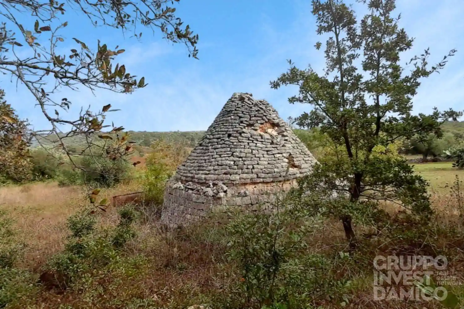 Rustico - Casale in vendita a Cisternino