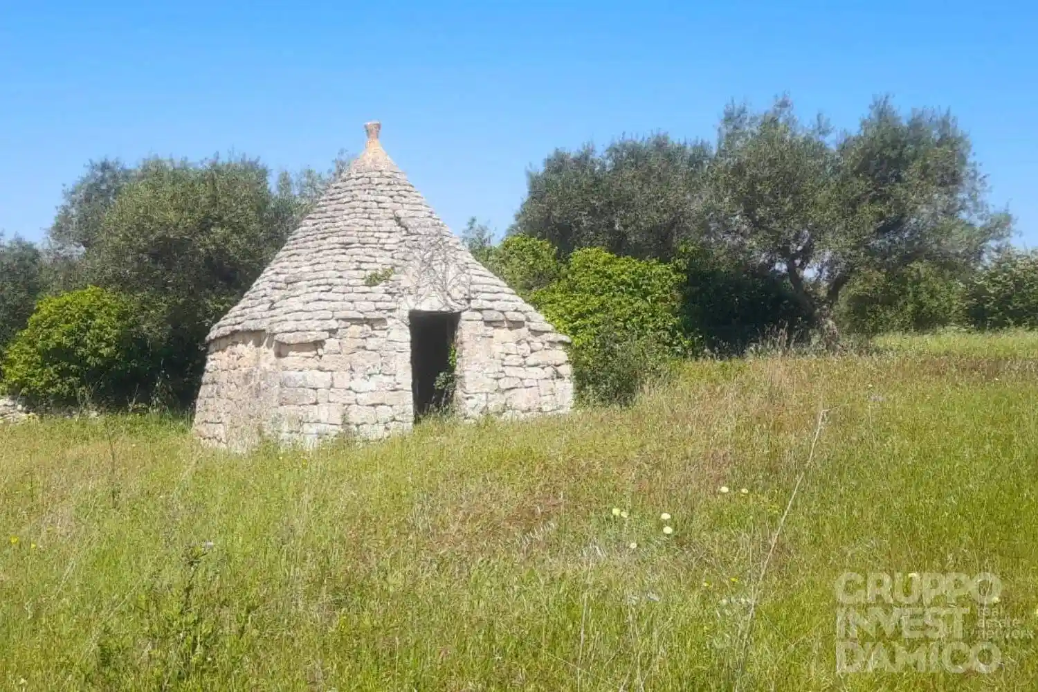 Rustico - Casale in vendita a Cisternino