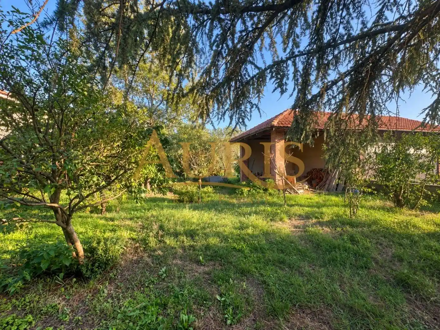Rustico - Casale in vendita a Cherasco