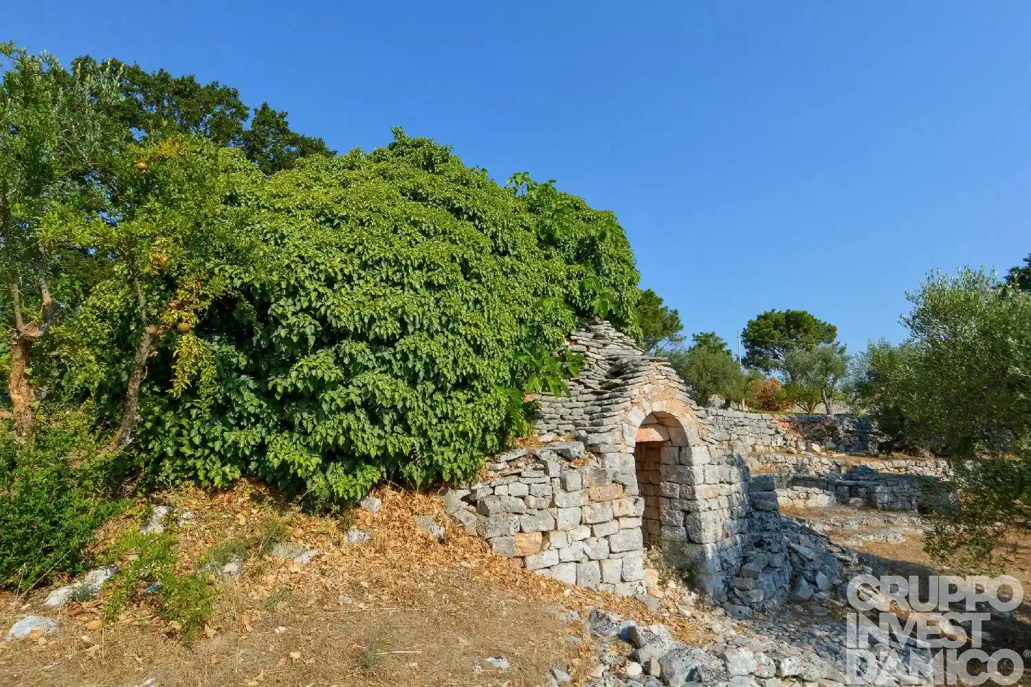 Casa indipendente in vendita a Cisternino