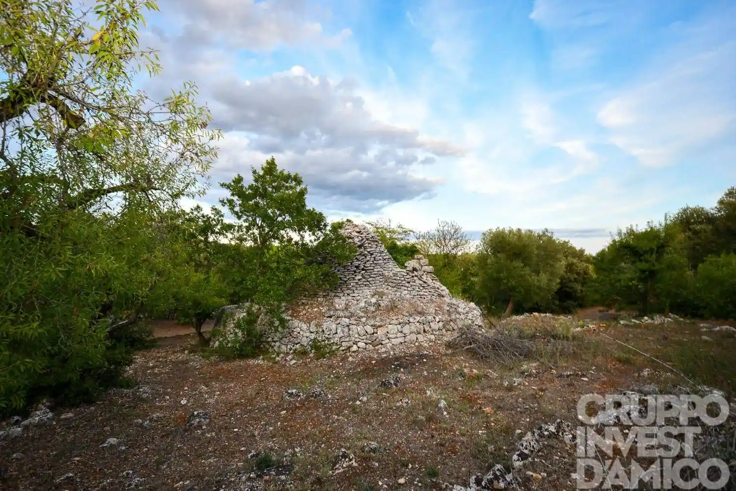 Rustico - Casale in vendita a Ceglie Messapica