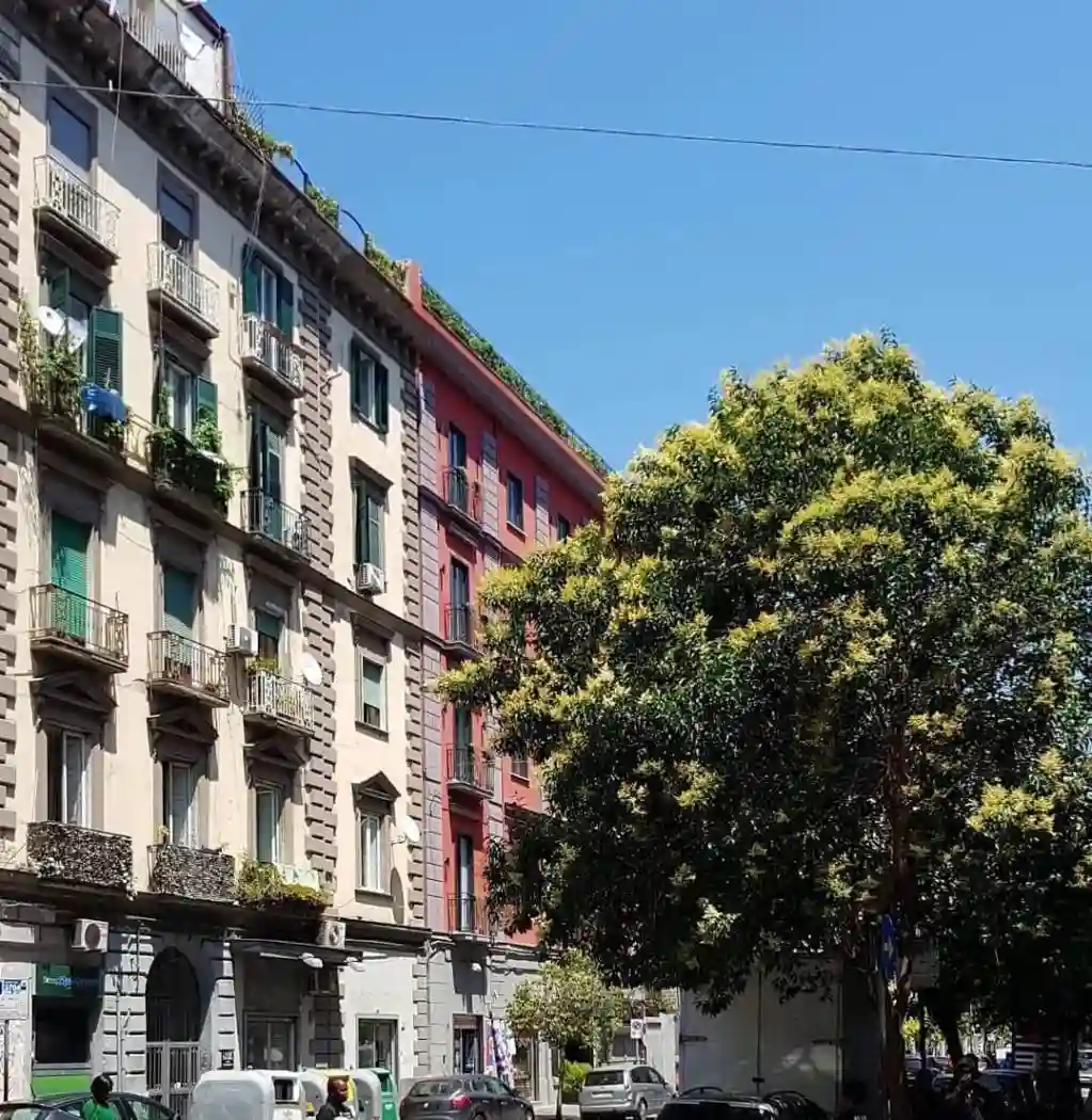 Palazzo - Edificio - foto 4