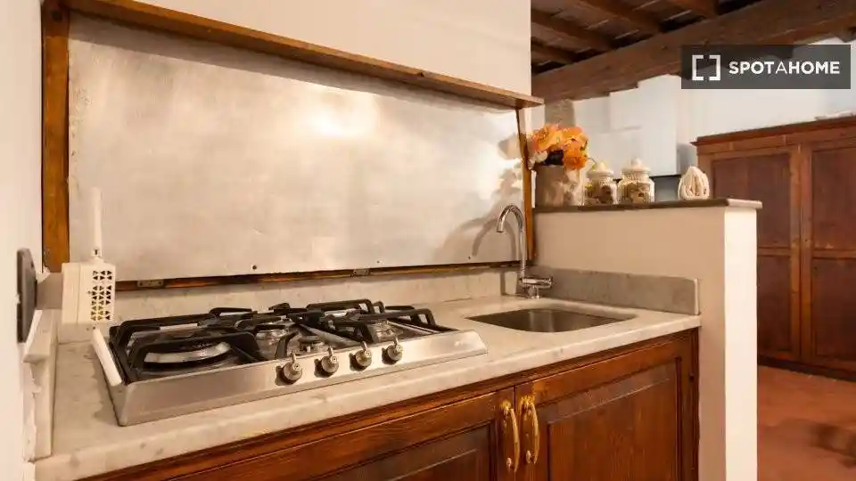 Appartamento in affitto a Firenze