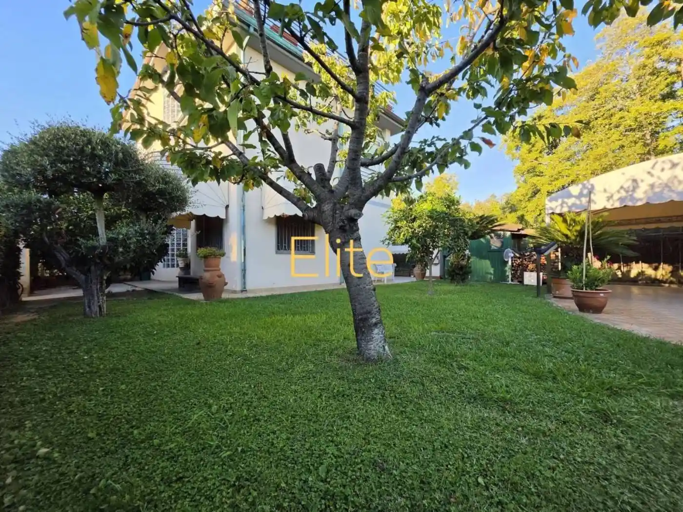 Villa in vendita a Viareggio