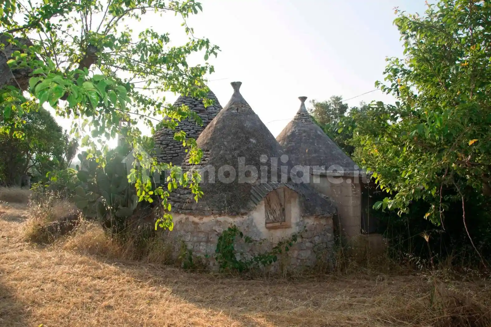 Rustico - Casale in vendita a Martina Franca