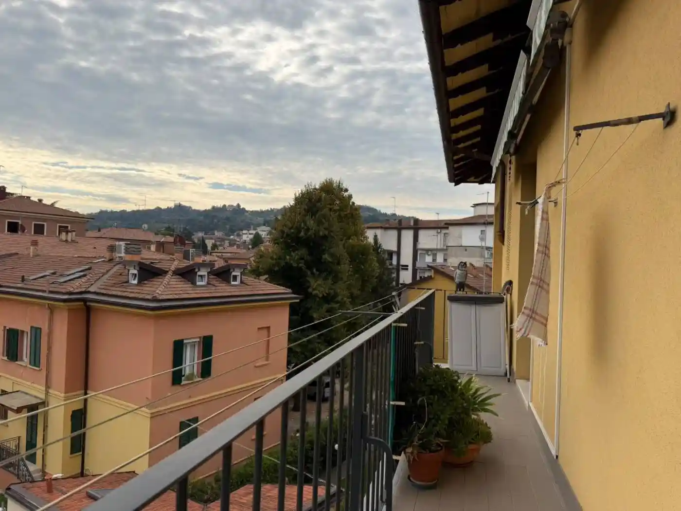 Appartamento in affitto a Bologna