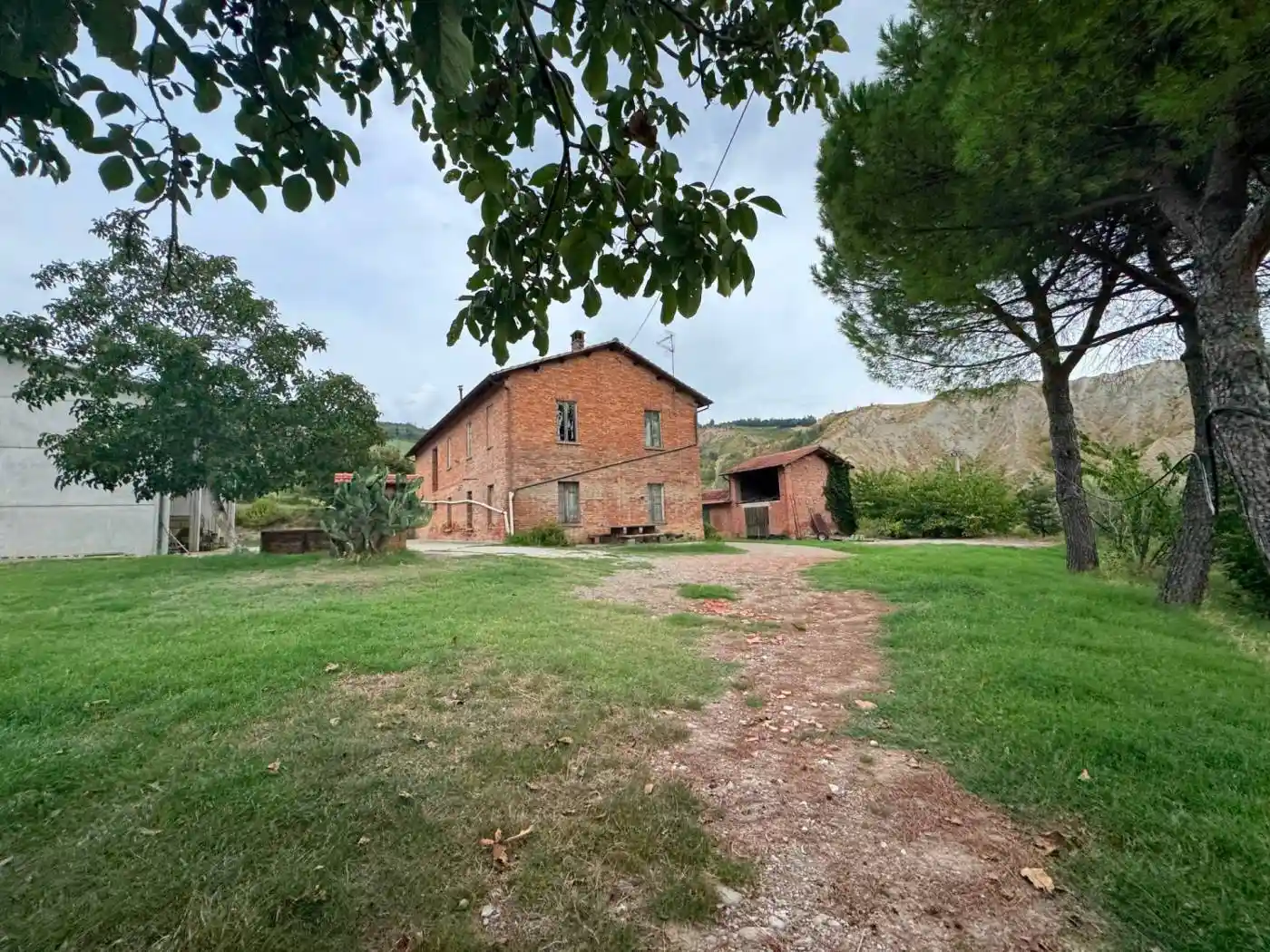 Rustico - Casale in vendita a Casalfiumanese