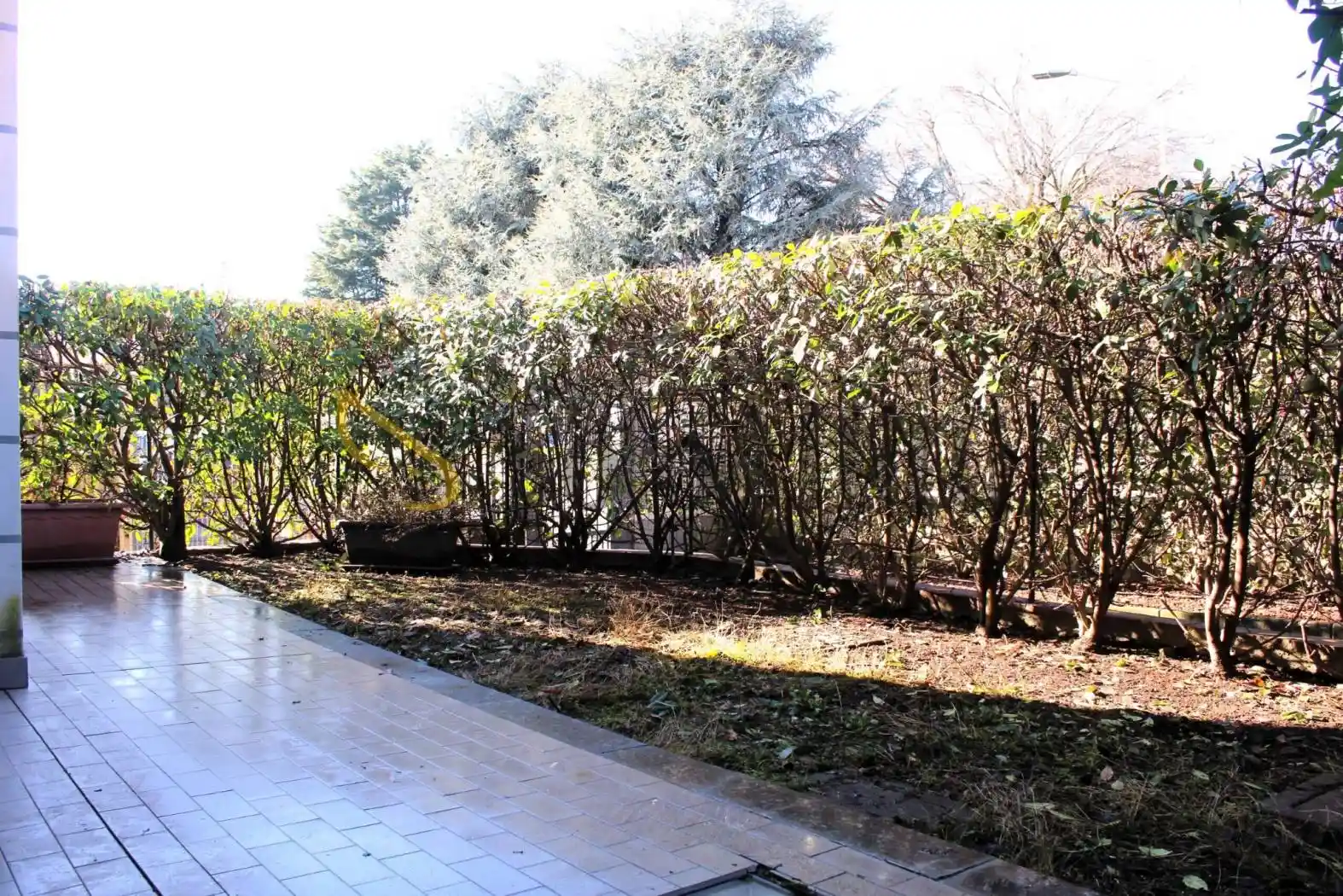 Appartamento in affitto a San Vittore Olona