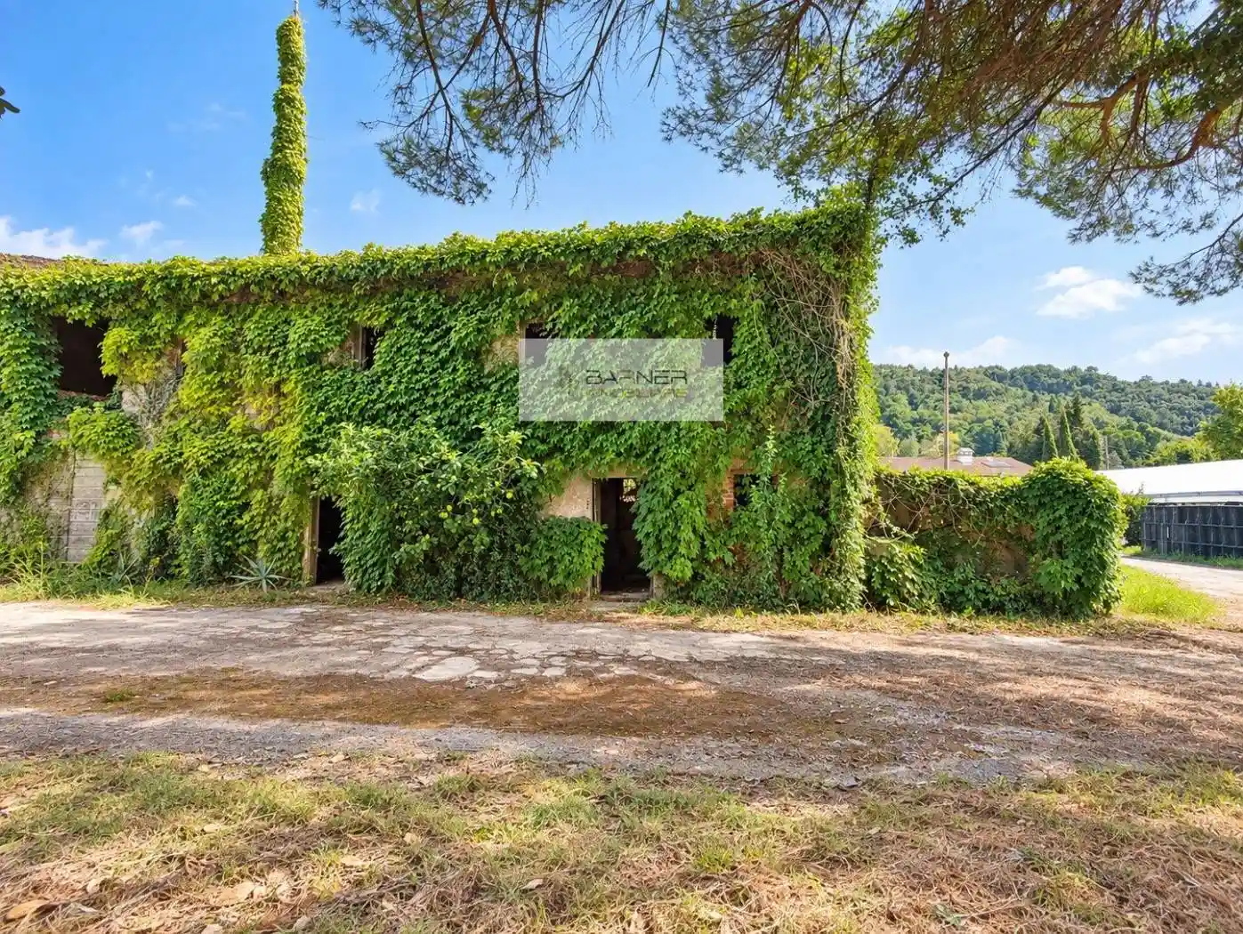 Rustico - Casale in vendita a Massarosa
