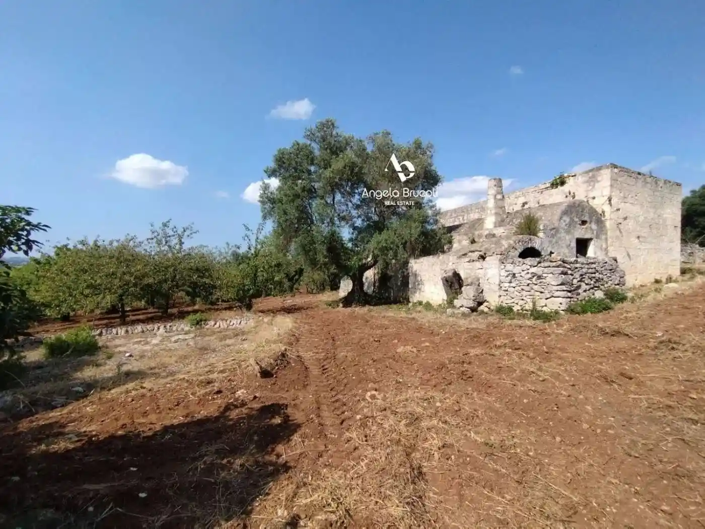 Rustico - Casale in vendita a Ceglie Messapica
