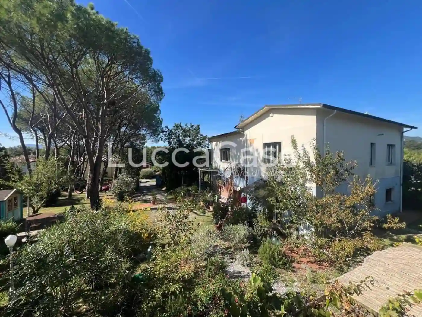 Villa - foto 5