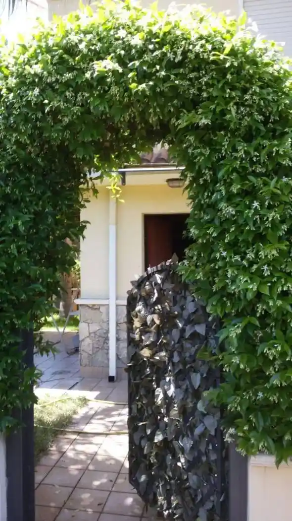 Appartamento in vendita a Nocera Terinese