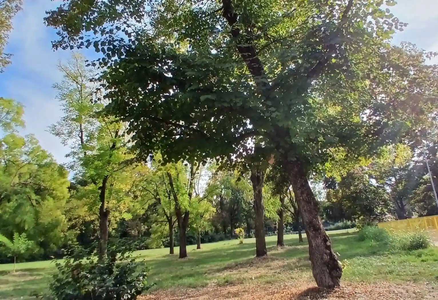 Appartamento in vendita a Reggio Emilia