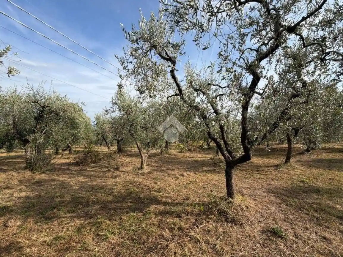 Casa indipendente in vendita a Pistoia