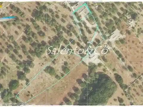 Villa in vendita a Ostuni