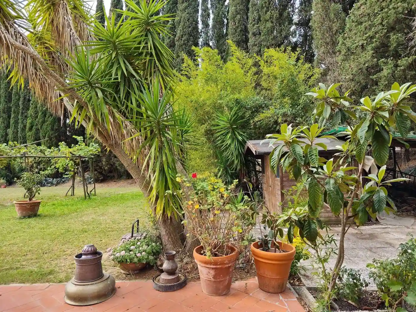 Rustico - Casale - foto 5