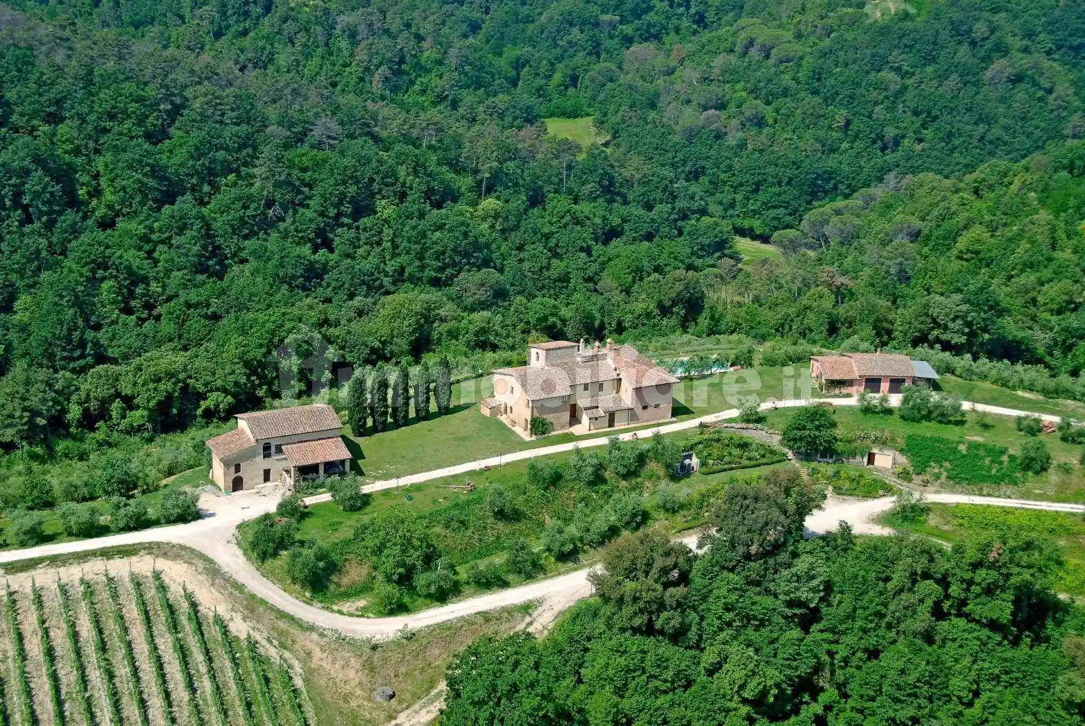 Rustico - Casale in vendita a San Gimignano
