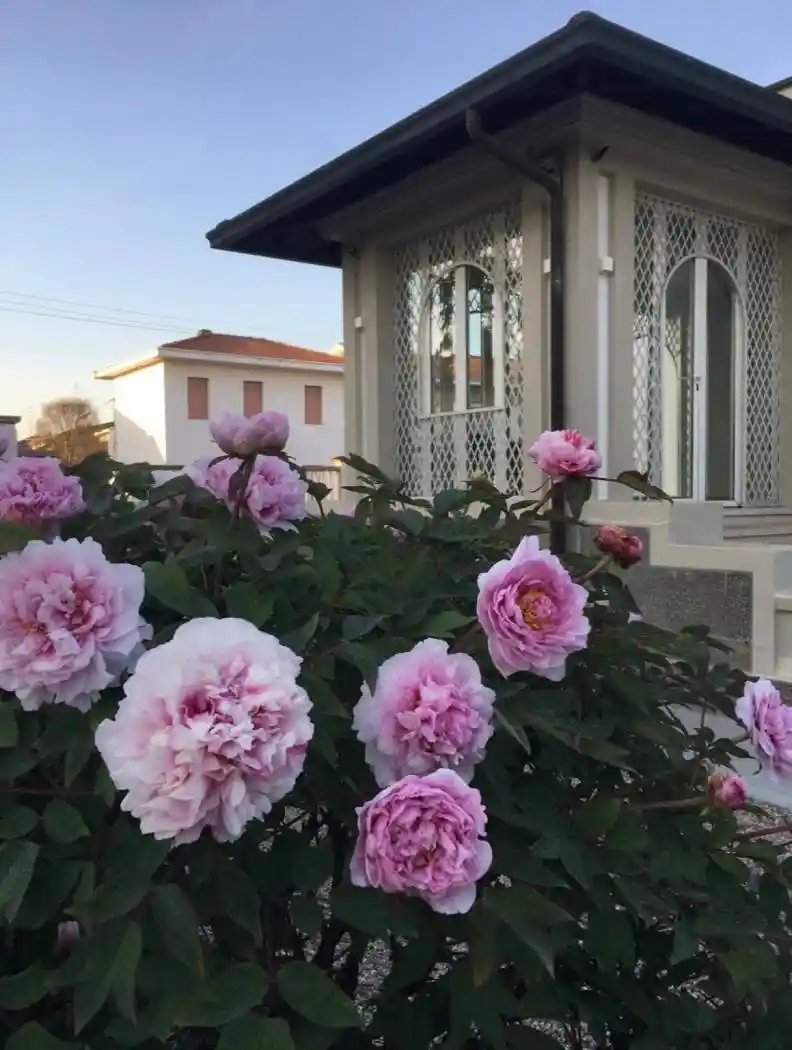 Villa in vendita a Castano Primo
